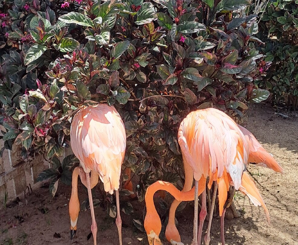 Waterland Mundo Marino-潘帕塔尔必去景点