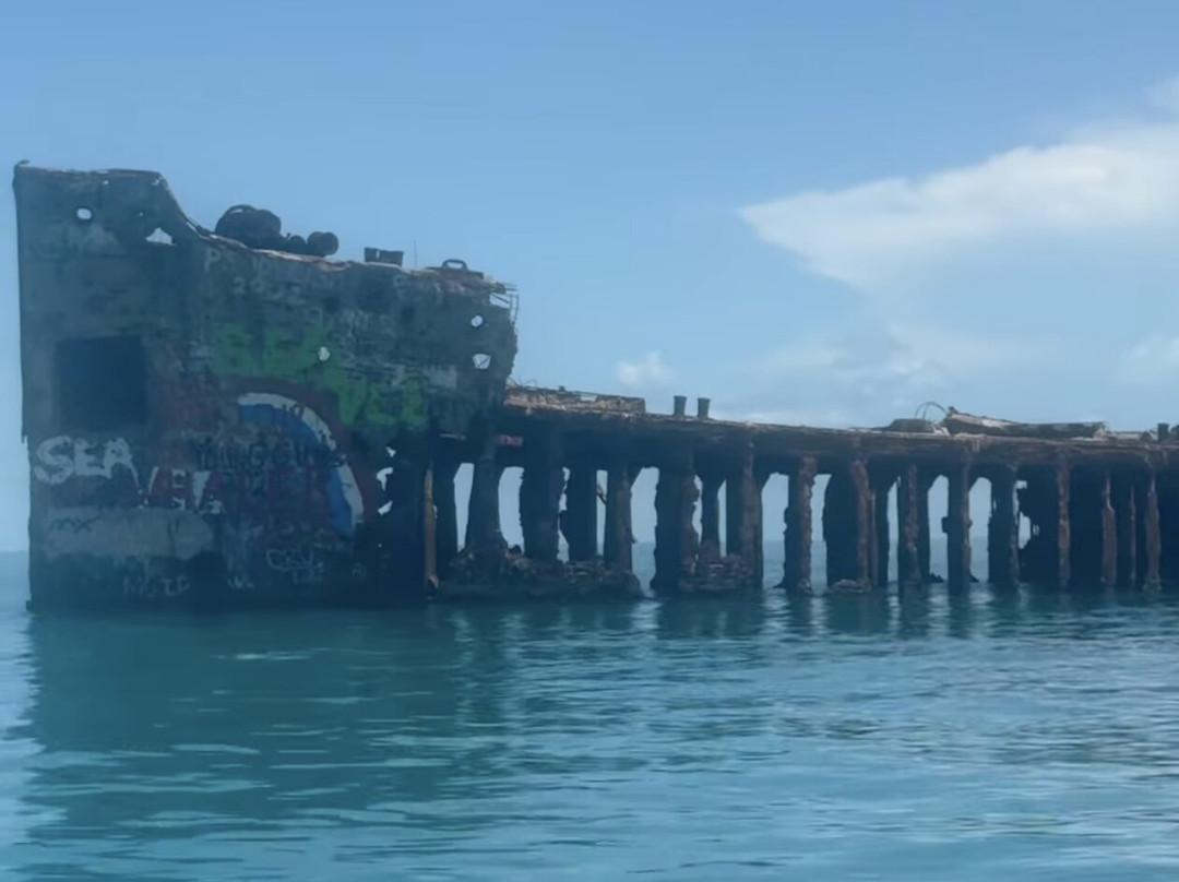 Neal Watson's Bimini Scuba Center-Alice Town必去景点