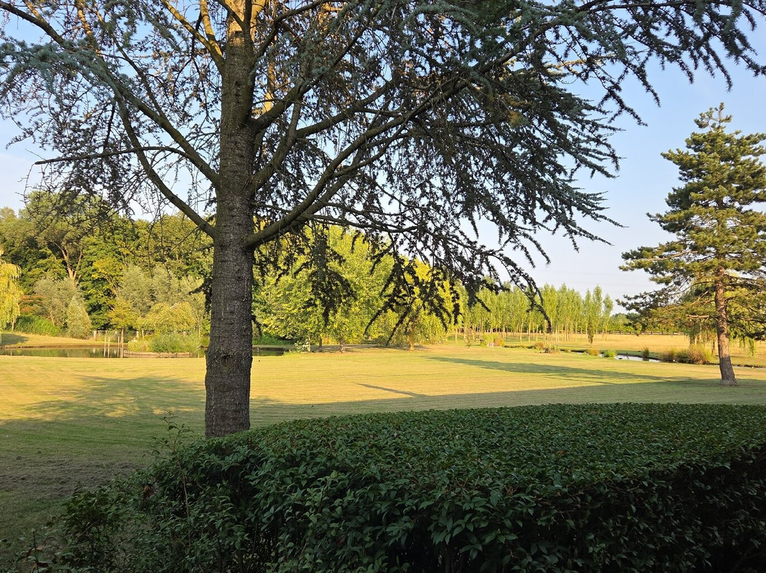 Country Lodge Hotel Moriaanshoofd主图