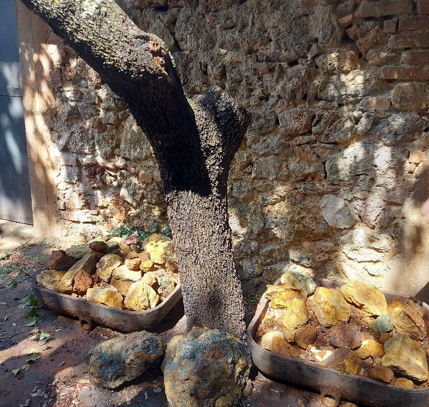 Elba Island Mining Park-Rio Marina必去景点