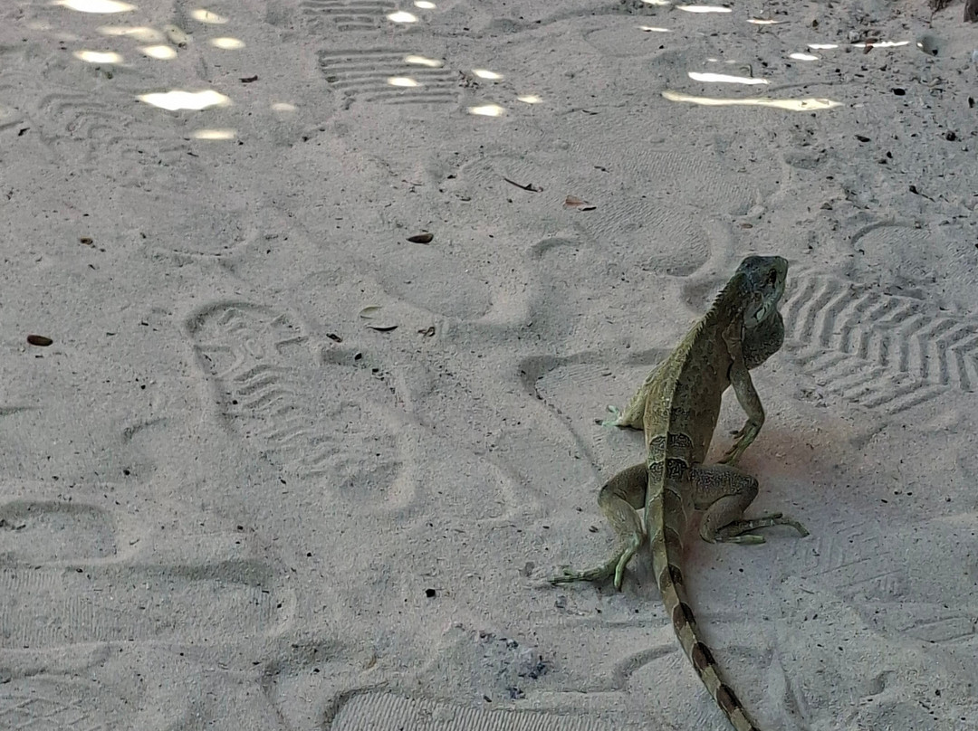 Upjeri-Prea必去景点