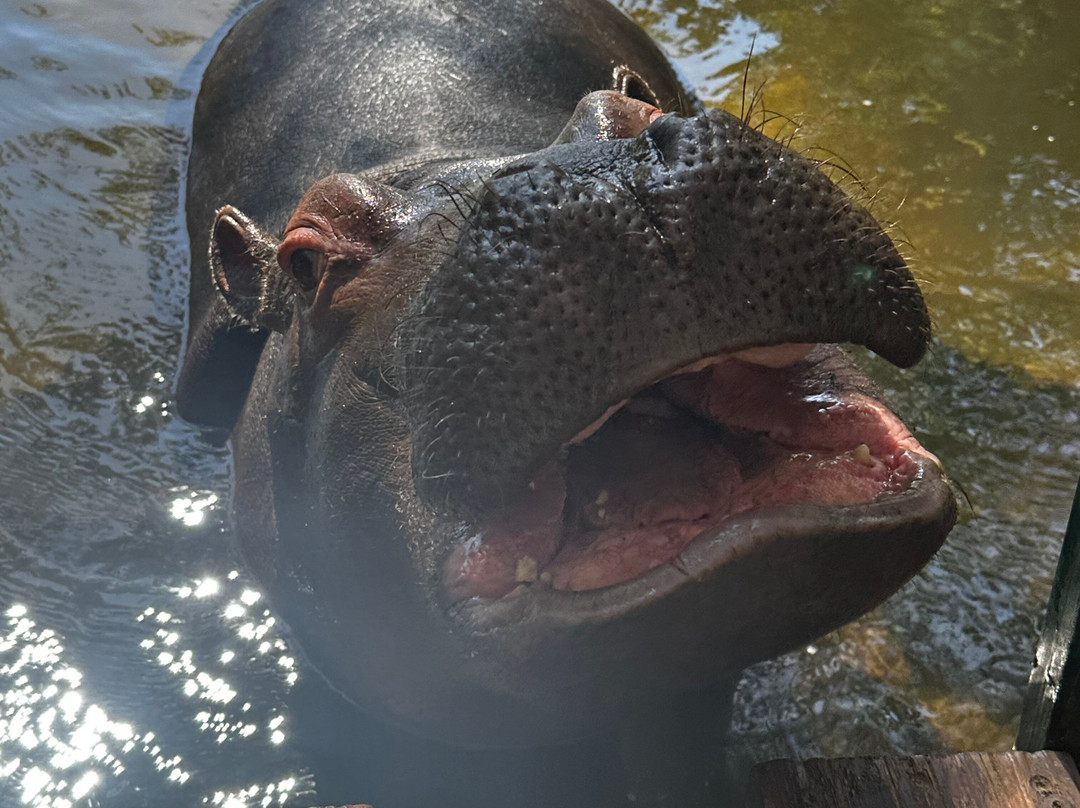 Hippo Jessica-霍德斯普鲁特必去景点