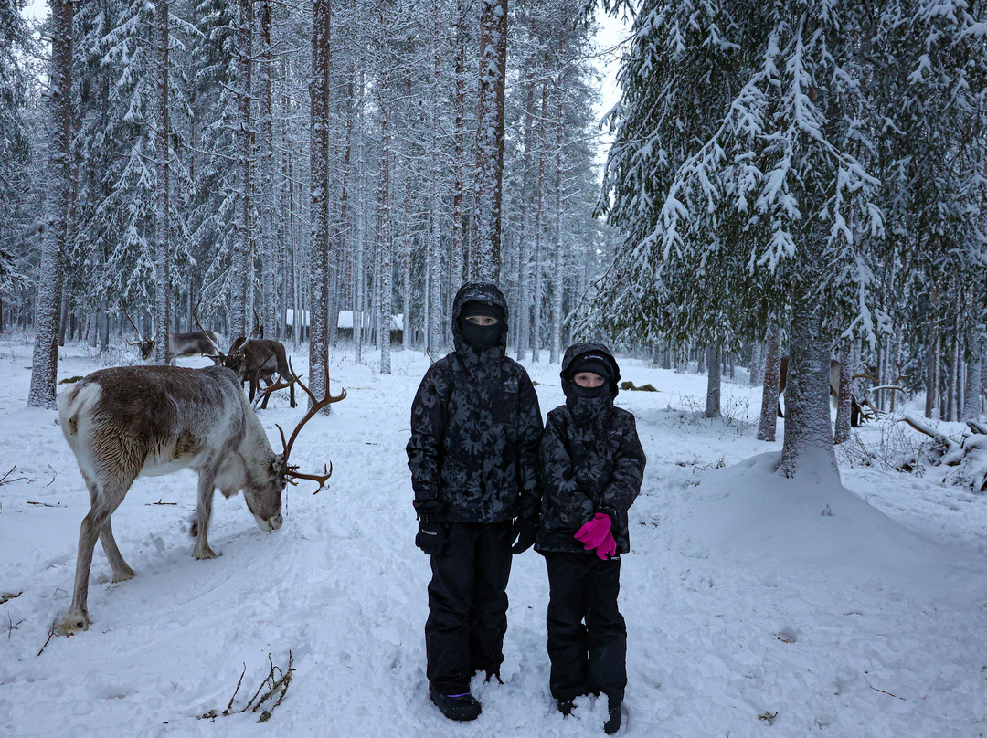 Sieriporo Safaris-罗瓦涅米必去景点