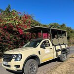 Game drives at Phalaborwa Gate in Kruger National Park-克鲁格国家公园必去景点