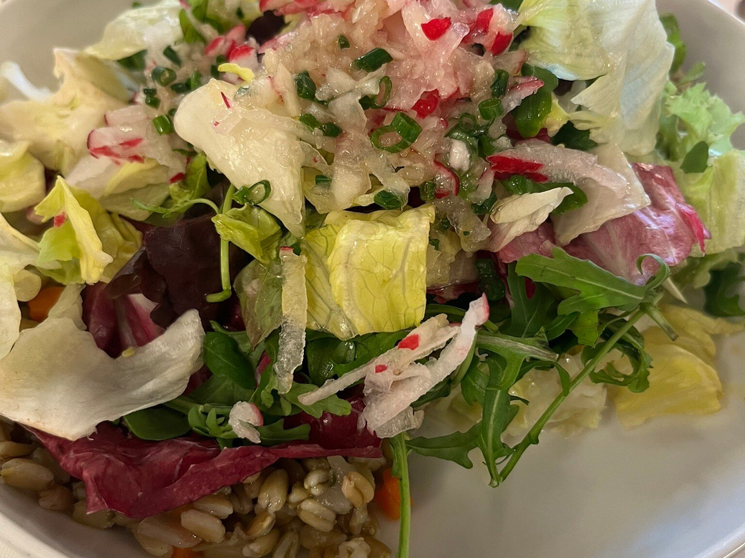 Hotel Anna Badenweiler主图