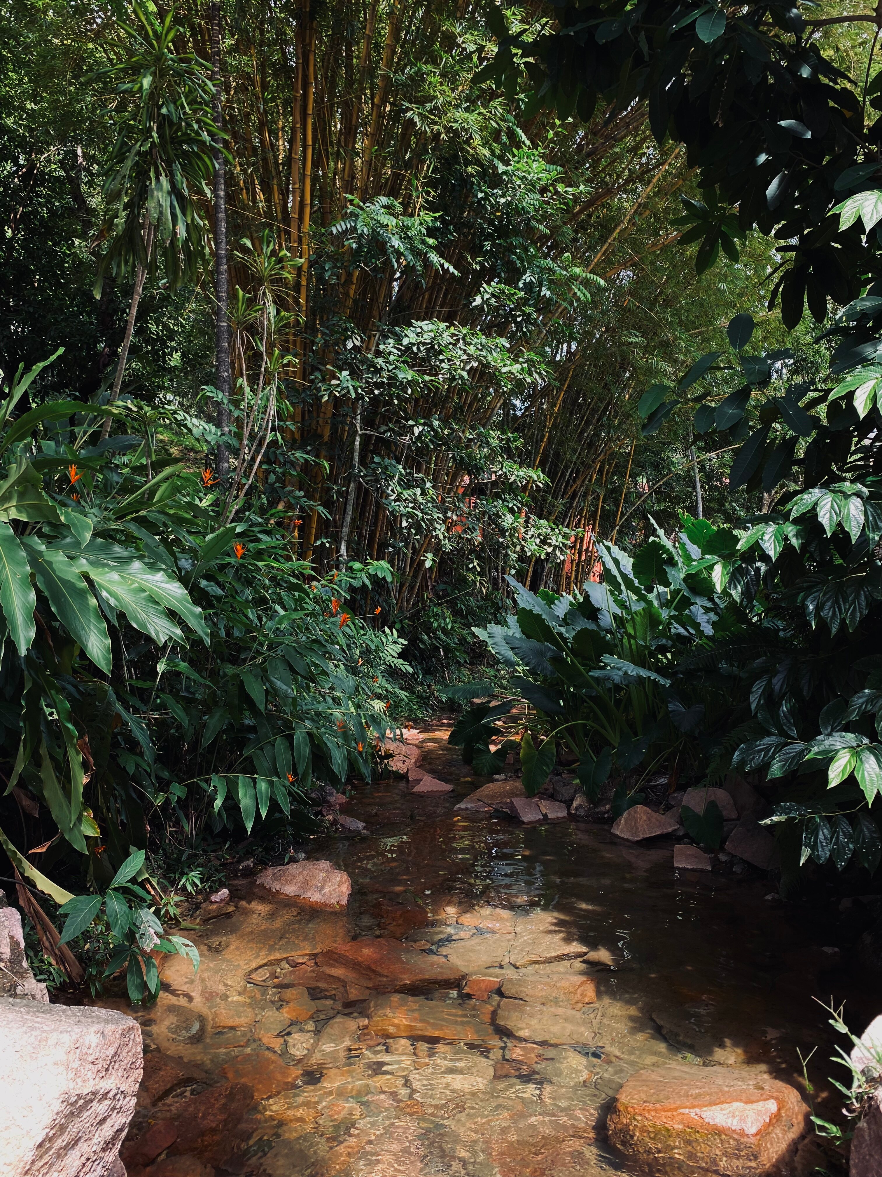 马托格罗索温泉酒店-官方