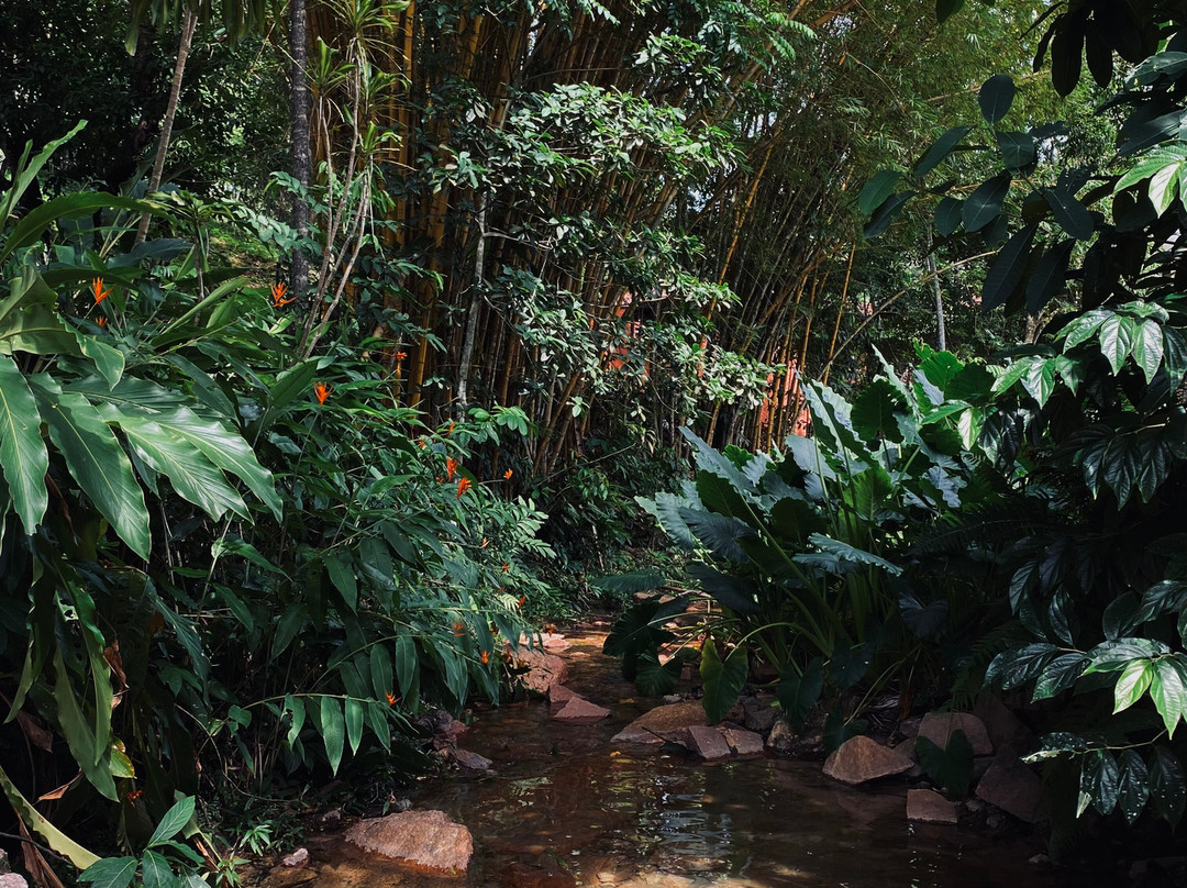 Águas Quentes主图