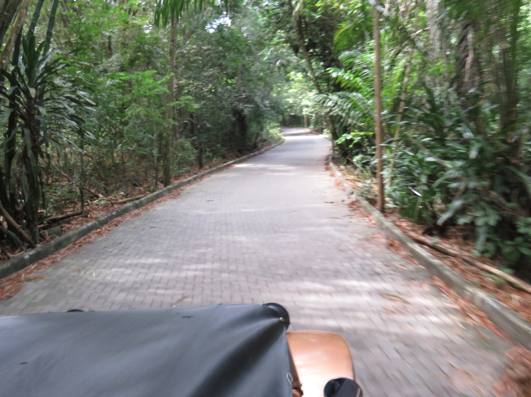 Reserva de Sapiranga-普拉亚多海滩必去景点