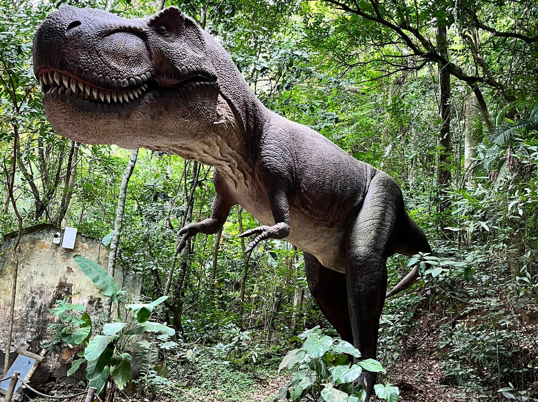 Terra Dos Dinos-Miguel Pereira必去景点