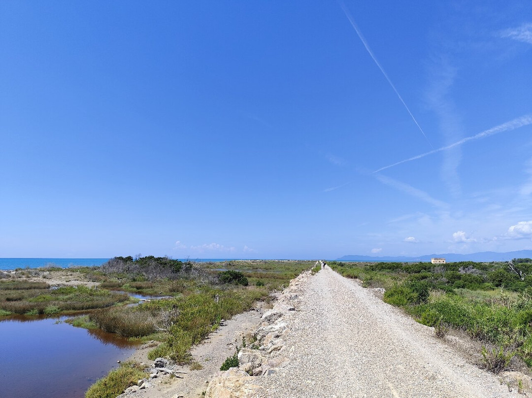 La Biciclettaia Rental Bike-Alberese必去景点