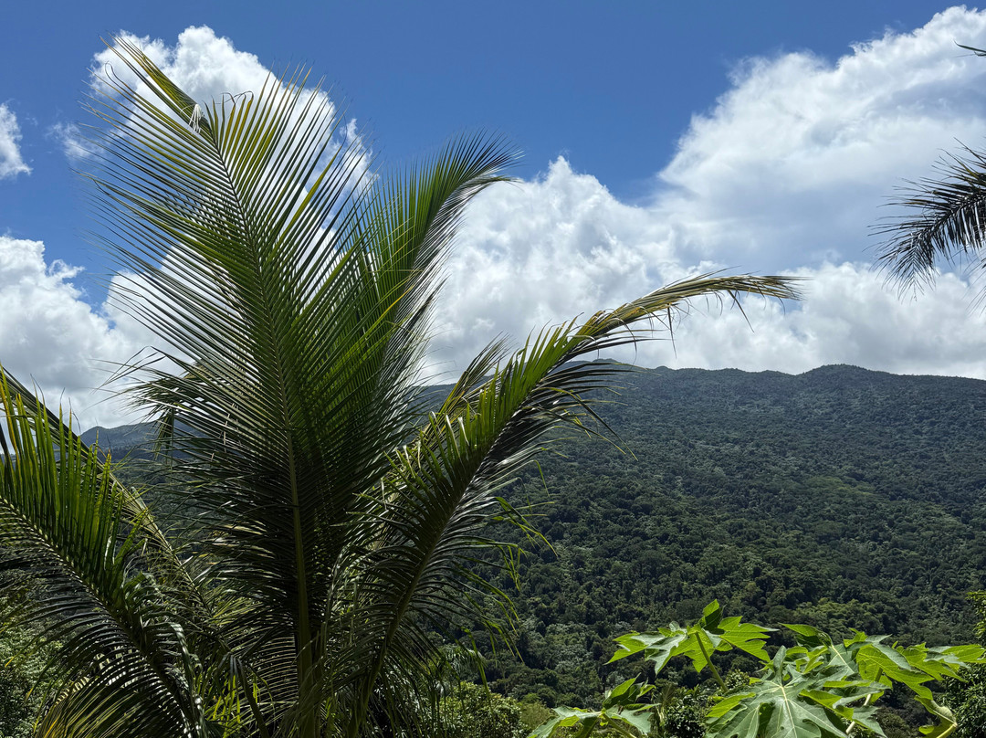 La Vista Rides-Rio Grande必去景点