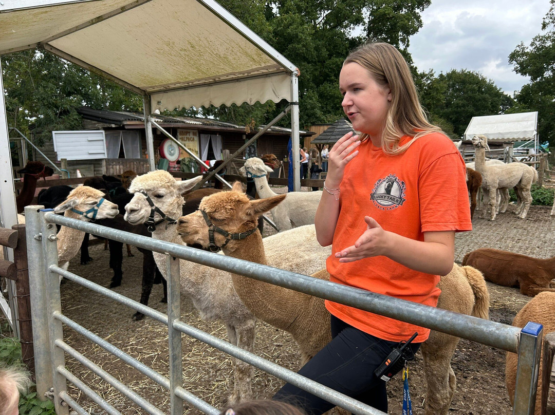 Lucky Tails Alpaca Farm-Atherstone必去景点