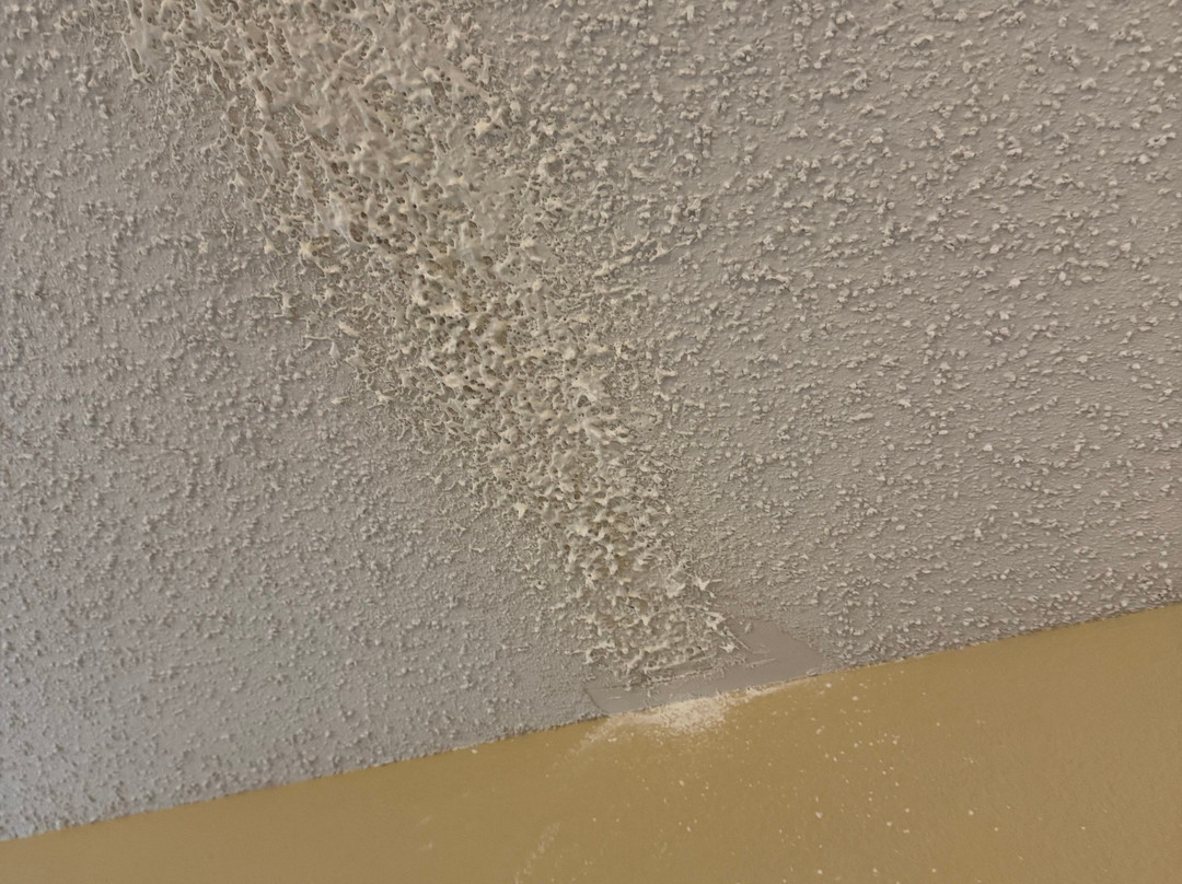 罗拉贝蒙特旅馆套房酒店主图