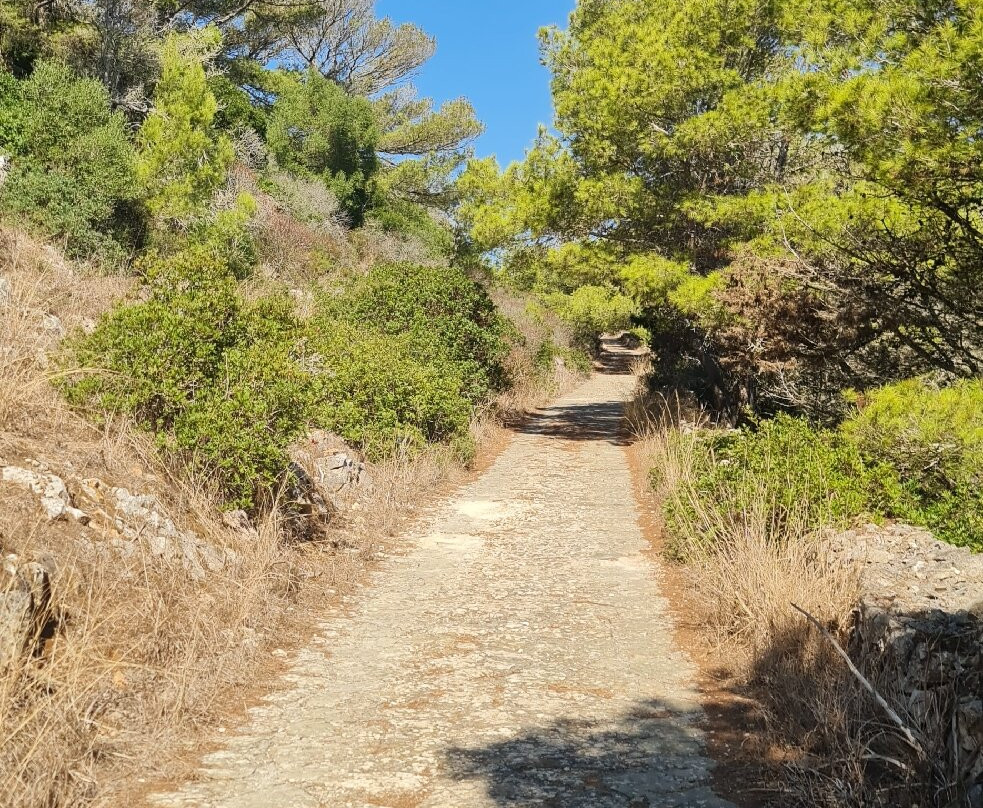 Grotta del Genovese-Levanzo必去景点