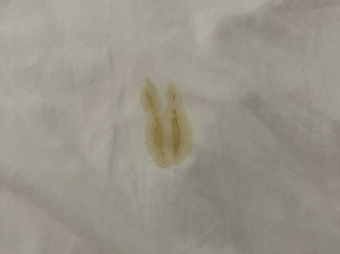 Pear Tree Inn Cape Girardeau Near the Medical Center主图