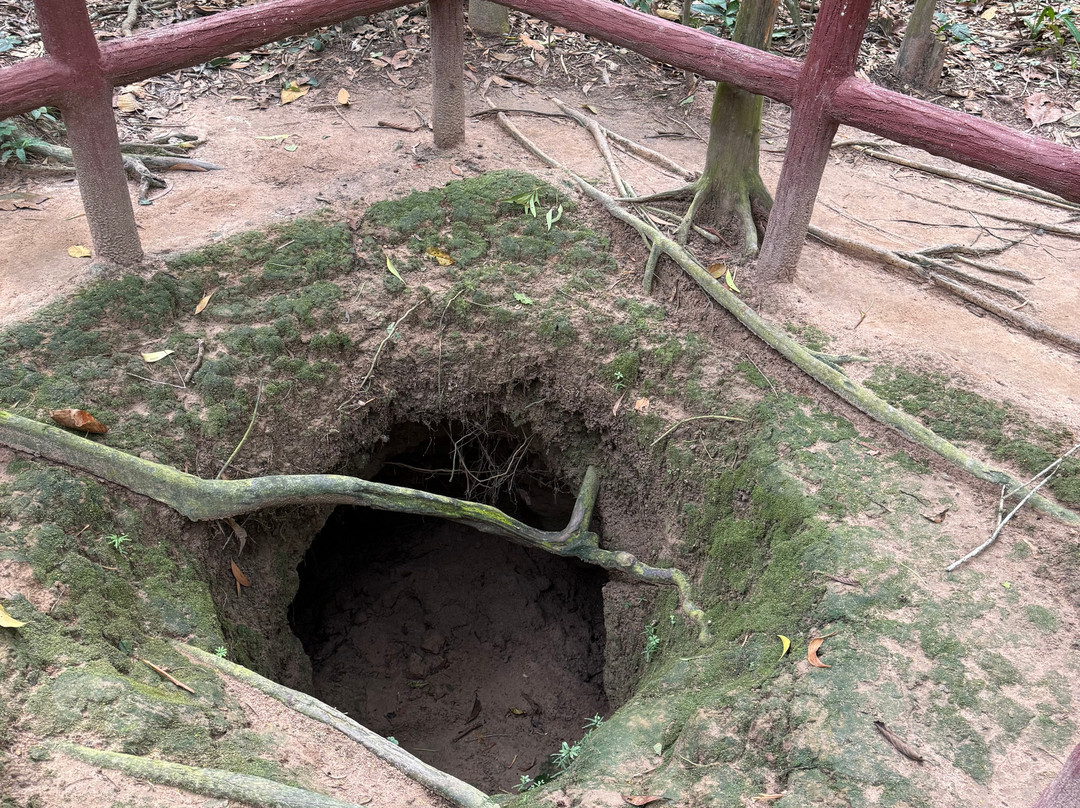 Amigos Tours & Transport-Cam Pho必去景点