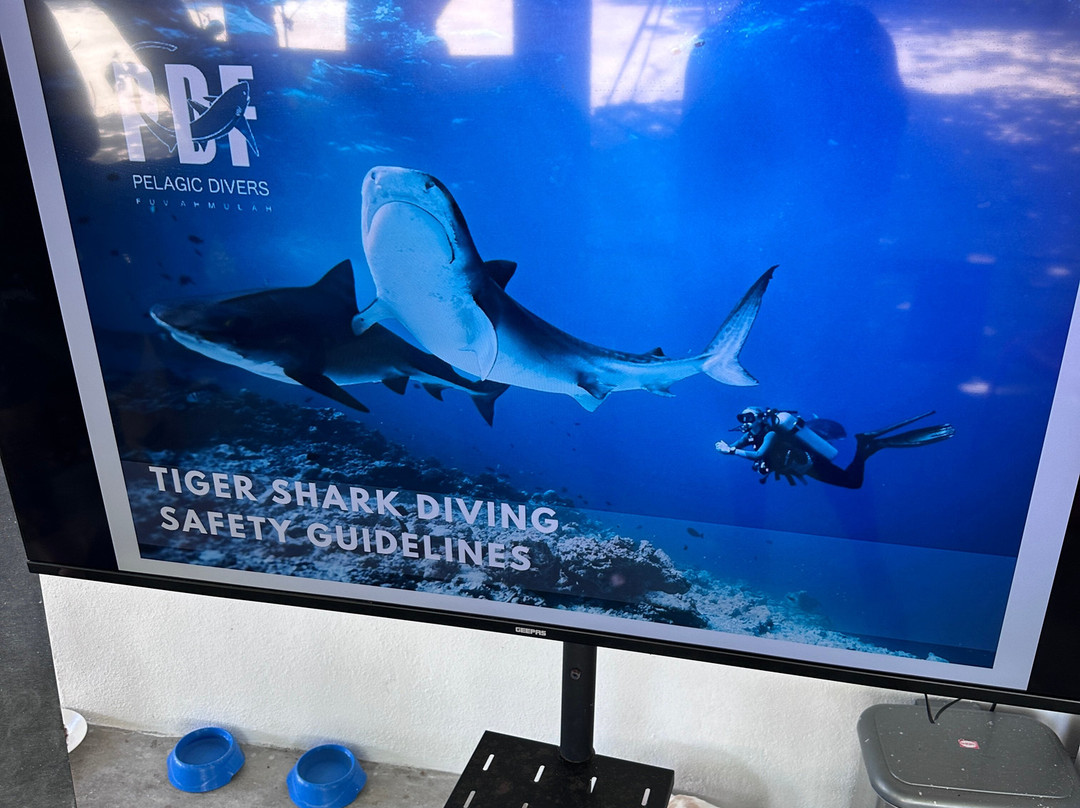 Pelagic Divers Fuvahmulah-Fuvahmulah必去景点