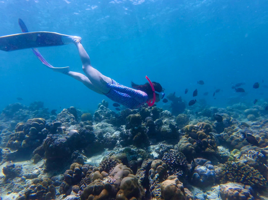 Dive Butler Amilla-芭环礁必去景点