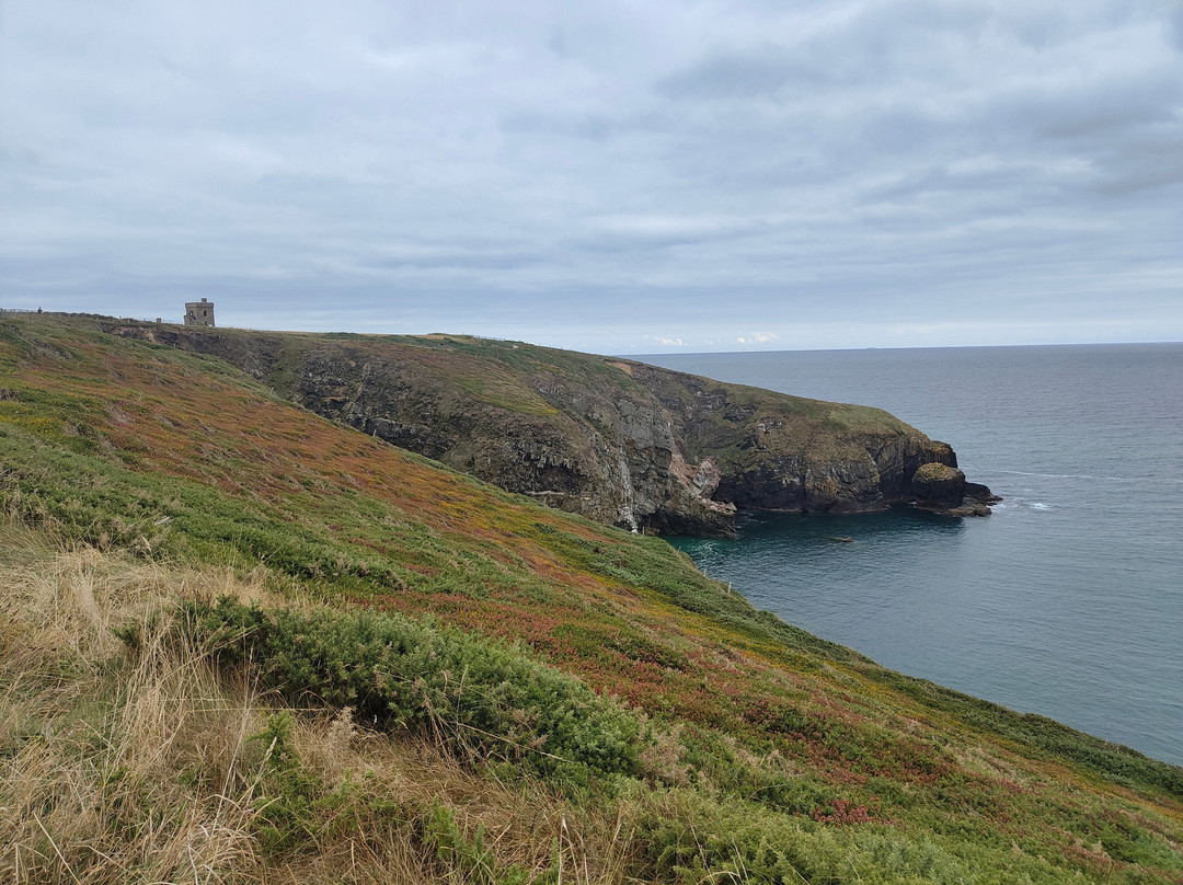 Cliff Walk Ardmore-Ardmore必去景点