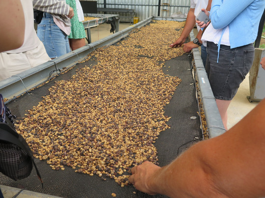 Iwanna Boquete Tours-波魁特必去景点