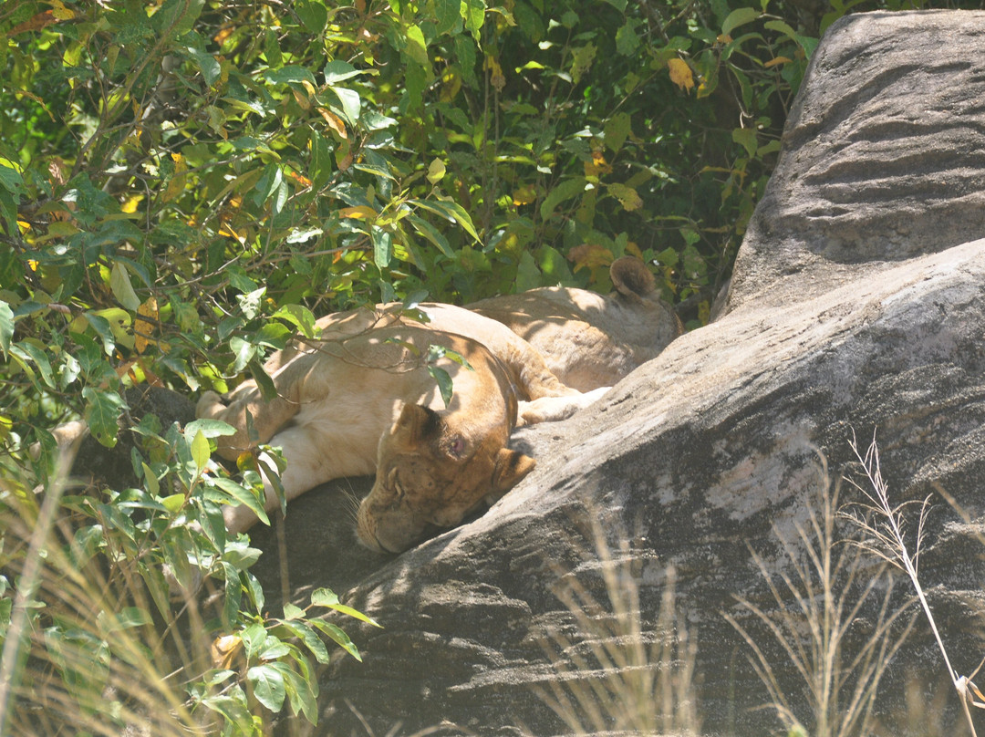 SLRIDE.COM-奴娃拉伊利雅必去景点