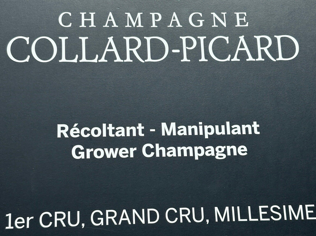 Champagne Collard-picard-埃佩尔内必去景点