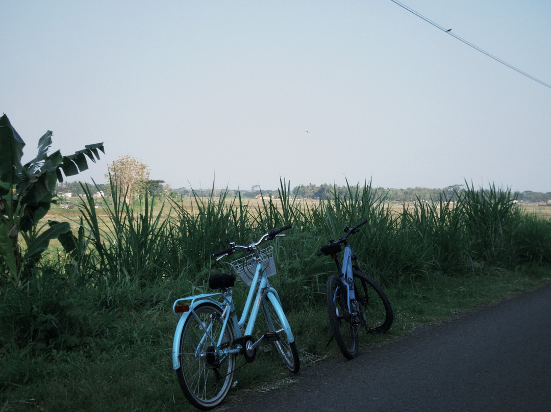 Moana - Sustainable Bicycle Tour-Yogyakarta必去景点