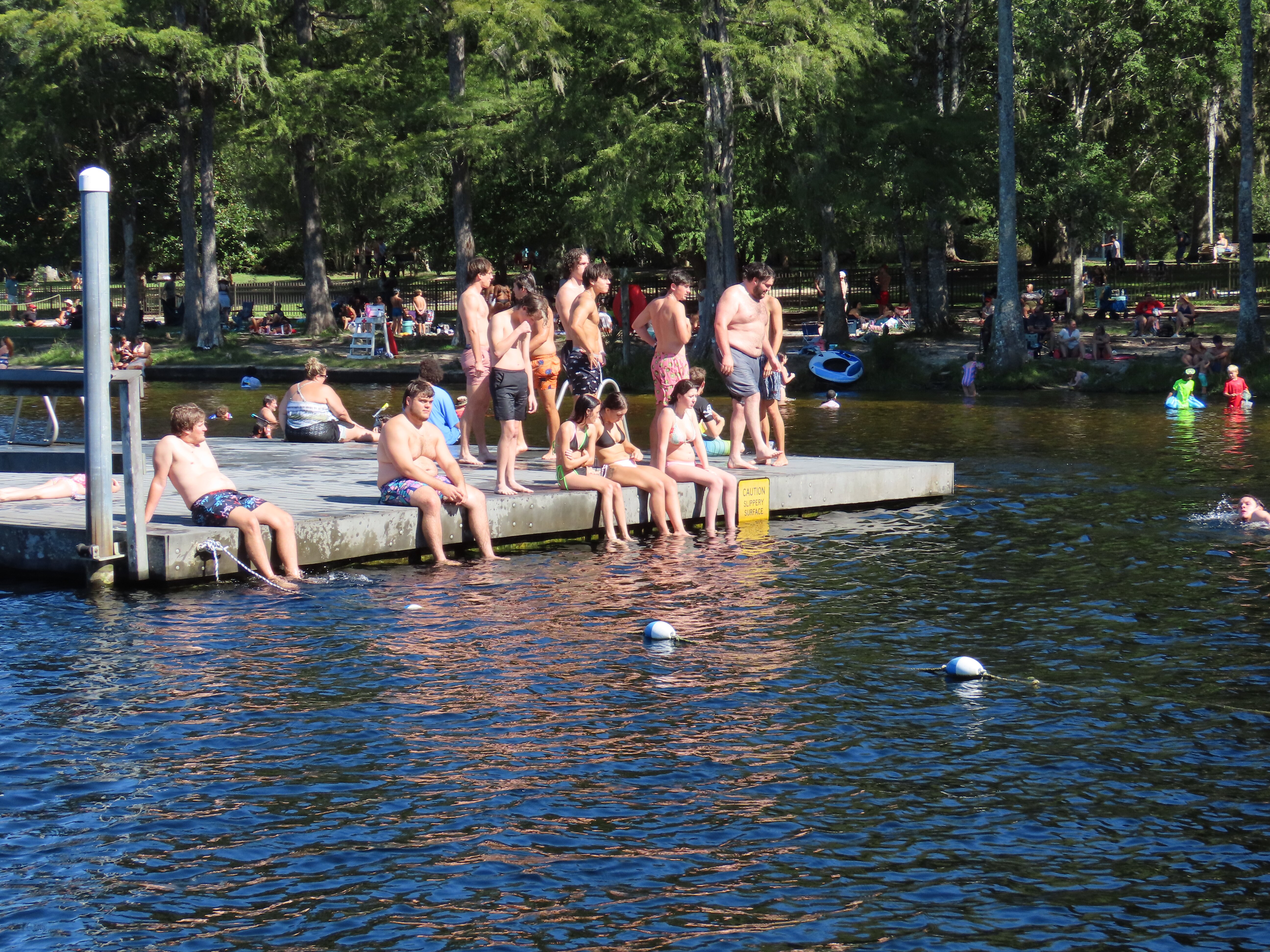 The Lodge at Wakulla Springs-泳池