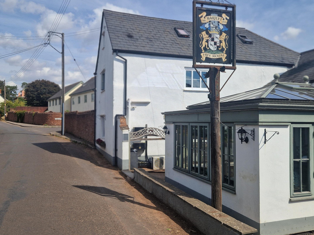 Waterrow餐馆和美食-The Martlet Inn