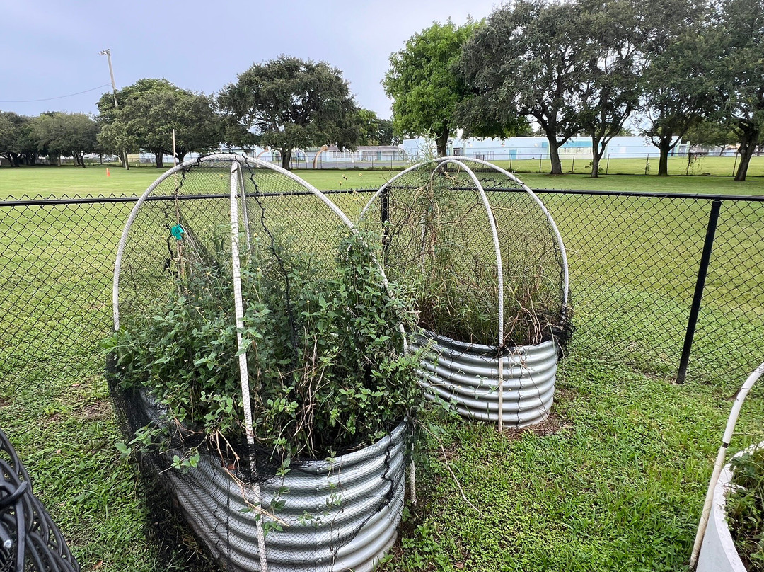 A.j. King Park-Miami Gardens必去景点