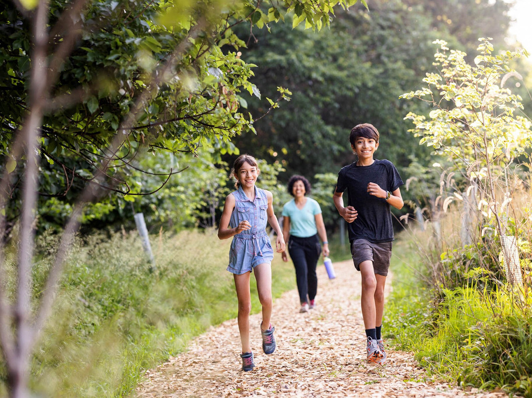 Arbor Lodge State Historical Park-Nebraska City必去景点