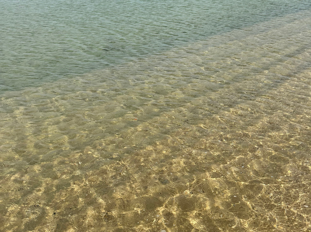 Procchio Beach-Procchio必去景点