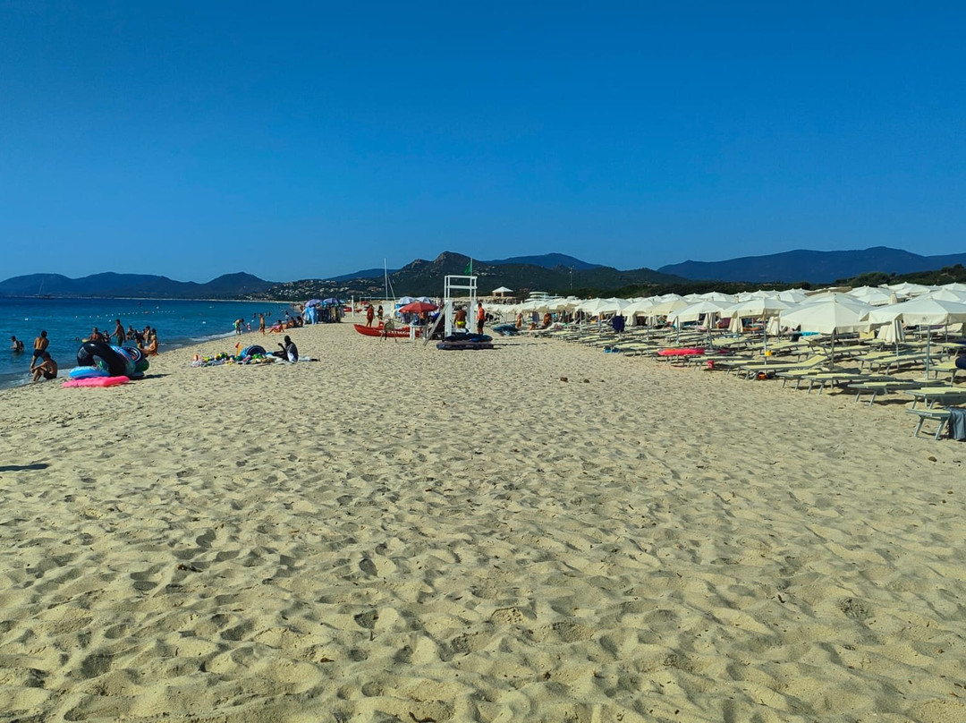 Marina Rey Beach Resort主图
