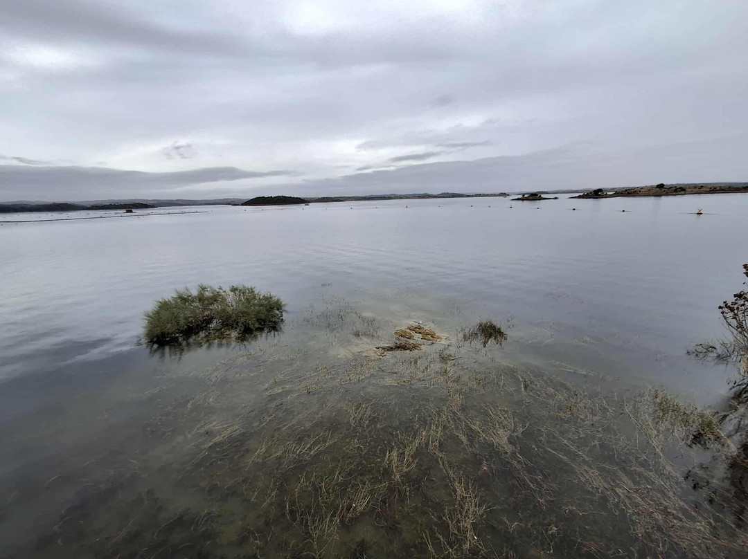Barragem de Alqueva-Moura必去景点