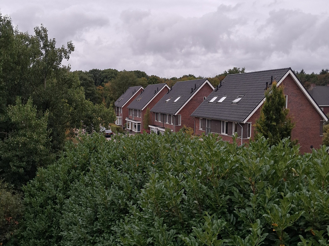 金色郁金香酒店主图