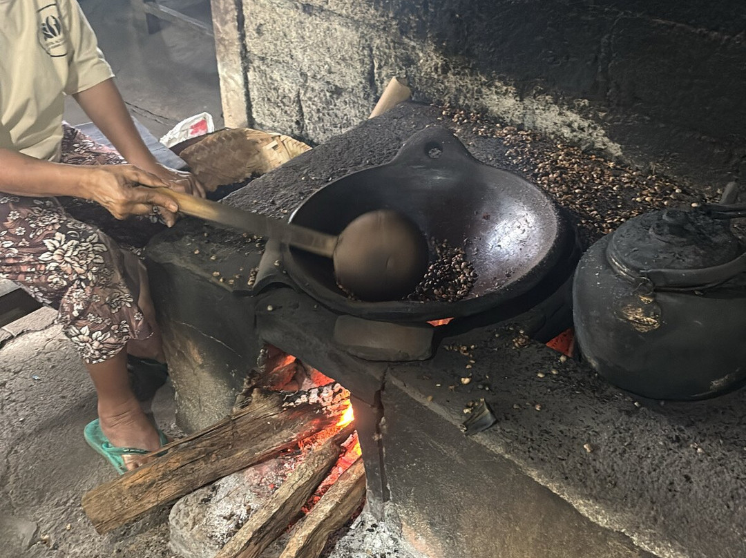 Driver Ubud-乌布必去景点