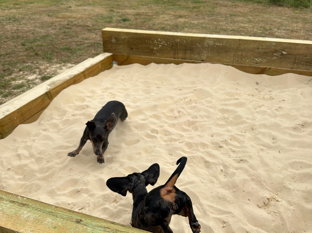 Seaview Dog Meadow-Wiveton必去景点