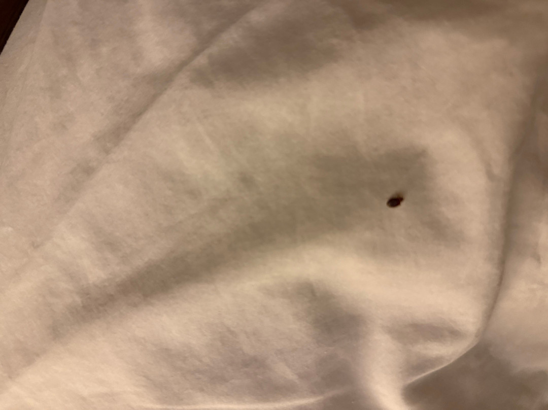 Fairfield by Marriott Inn & Suites Wisconsin Dells主图