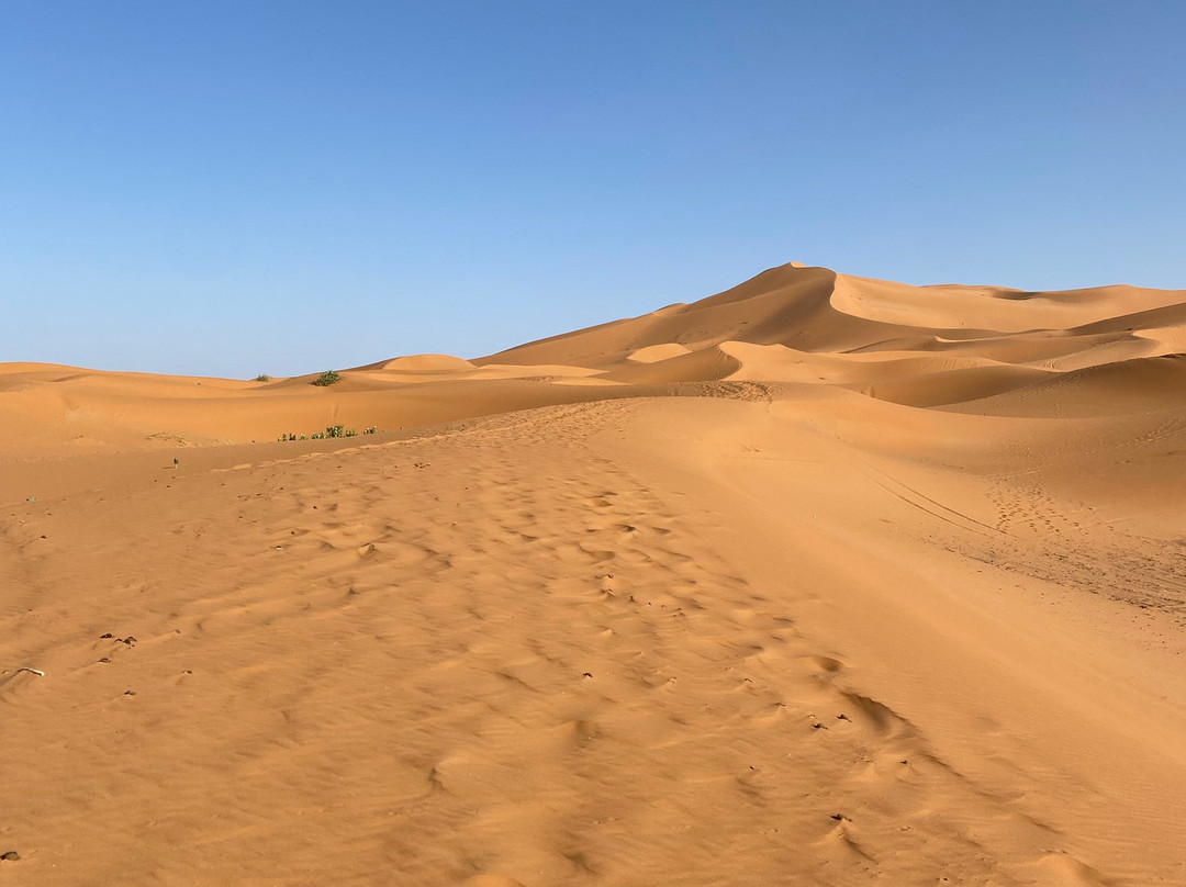 Sahara Feeling-扎古拉必去景点