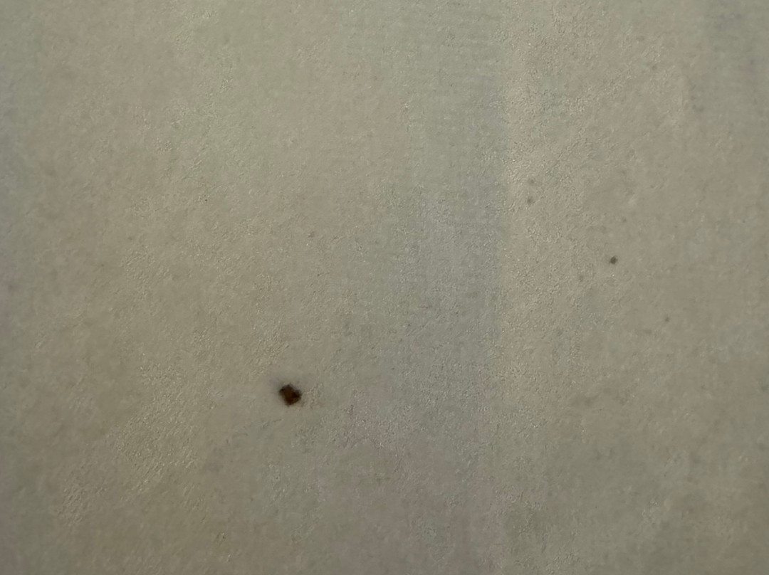 Best Western Bridgeview Hotel主图