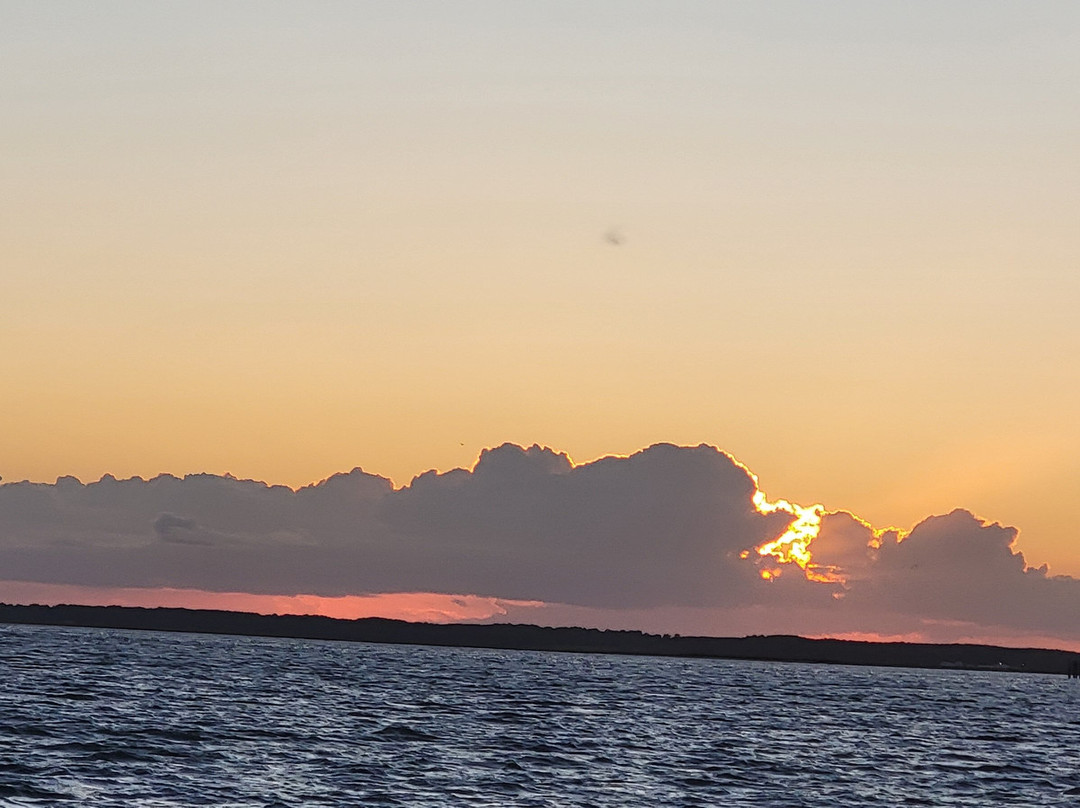 Barnacle Bill's Wild Pony Boat Tours-钦科蒂格岛必去景点