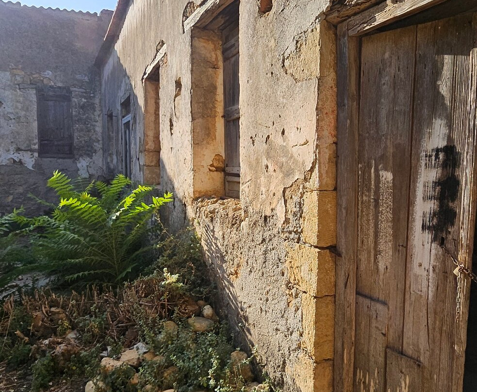 Oasis Guesthouse主图