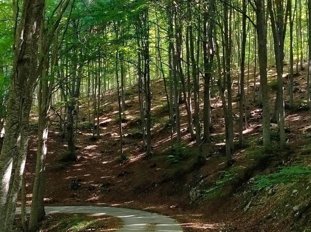 Riserva Naturale Lama Bianca-Roccacaramanico必去景点