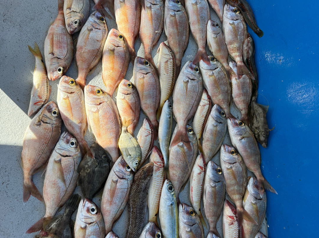 Eva Traditional Fishing Trips-Elounda必去景点