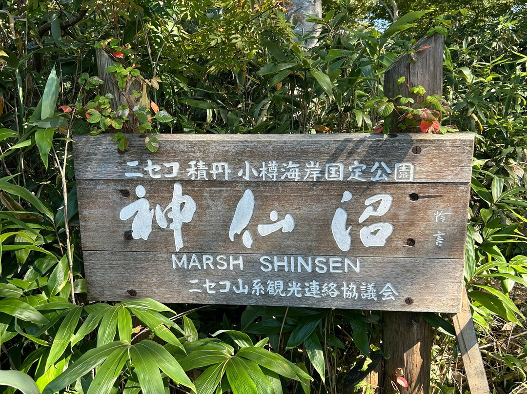 Shinsennuma-共和町必去景点