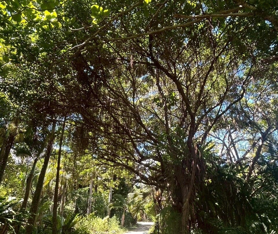 Manta no Hama-竹富町由布岛必去景点