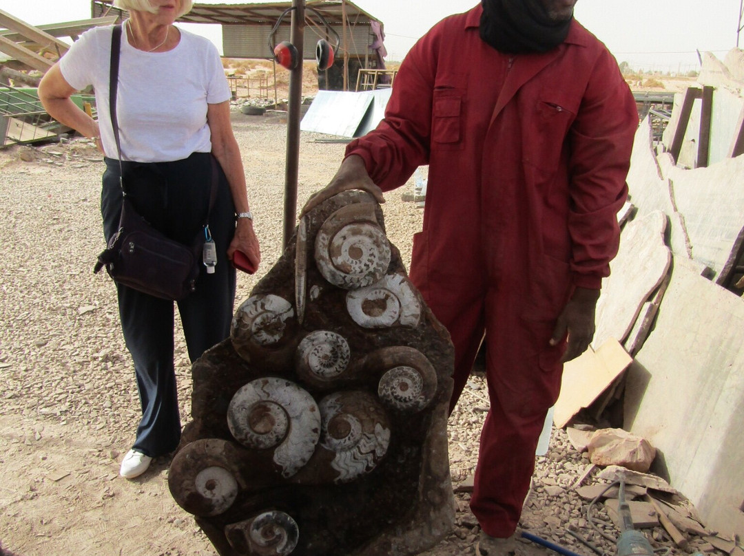 Macro Fossiles Kasbah-Erfoud必去景点