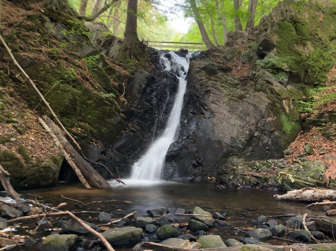 Forsakar Nature Reserve-Degeberga必去景点