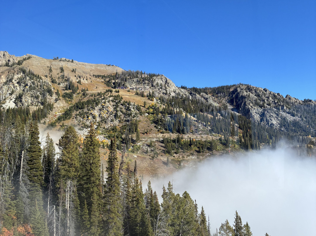 Jackson Hole Paragliding-提顿村必去景点