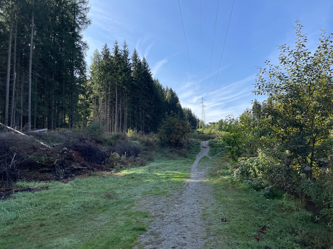 Cascade Du Dard-La Giettaz必去景点